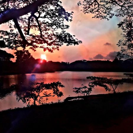Lake View Dambulla Exteriör bild