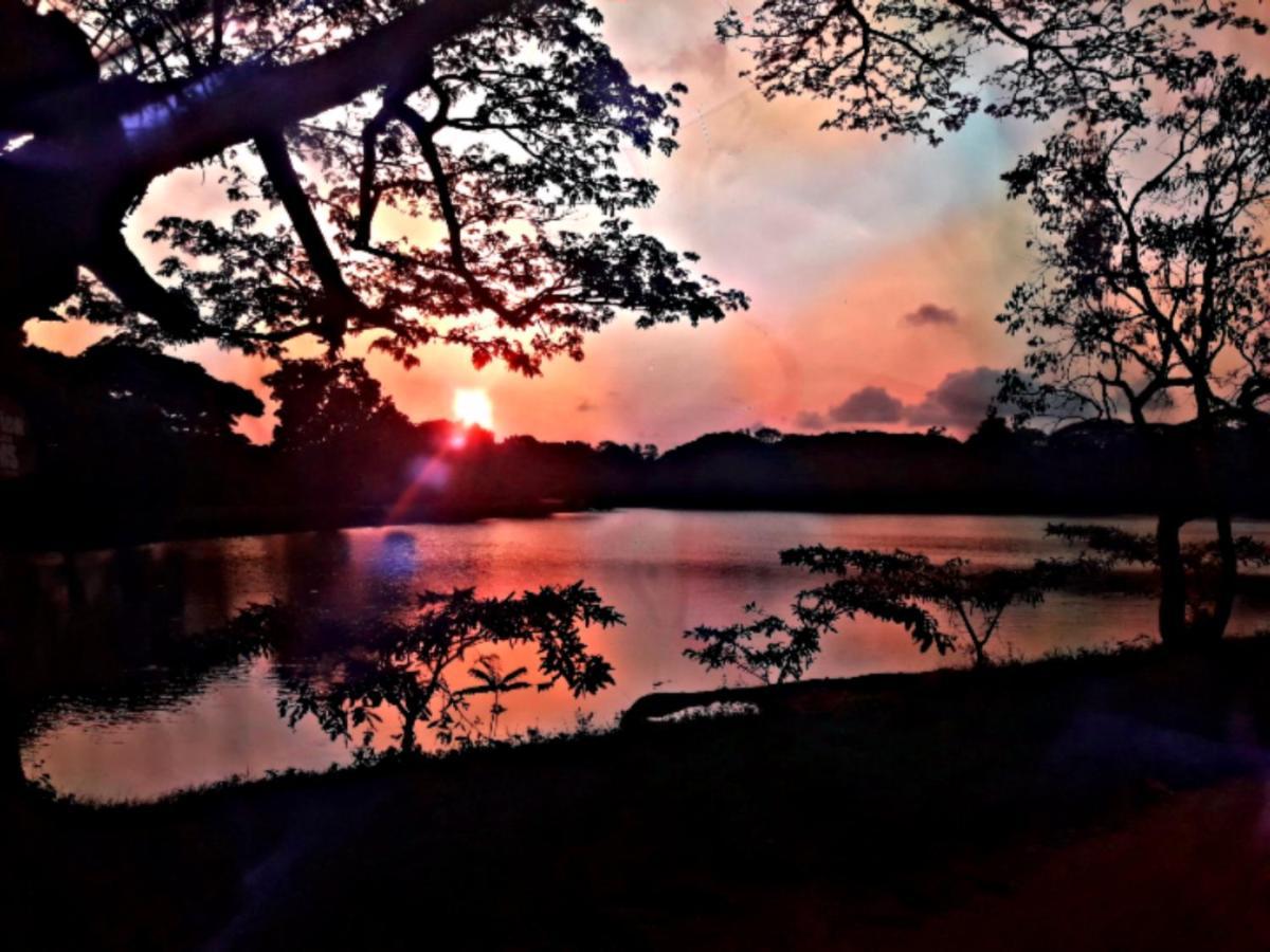 Lake View Dambulla Exteriör bild