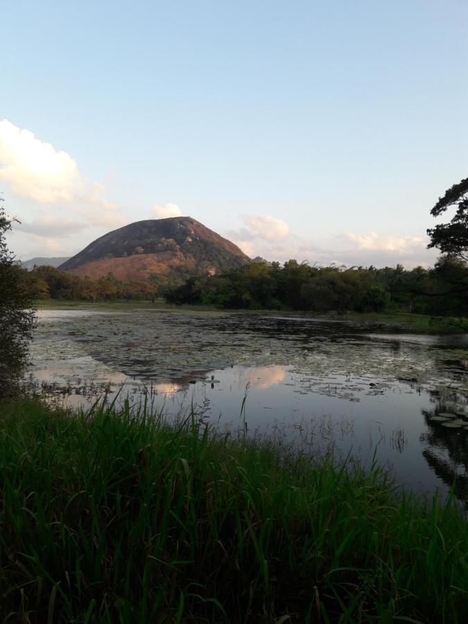 Lake View Dambulla Exteriör bild